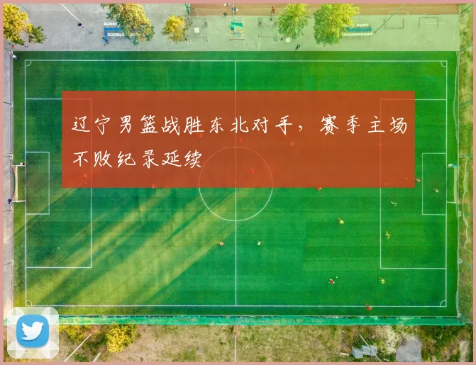 辽宁男篮战胜东北对手,赛季主场不败纪录延续