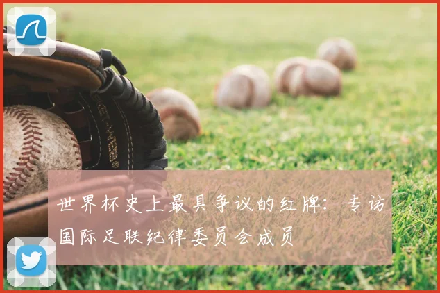 世界杯史上最具争议的红牌：专访国际足联纪律委员会成员