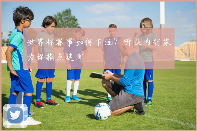 世界杯赛事如何下注？听业内行家为你指点迷津