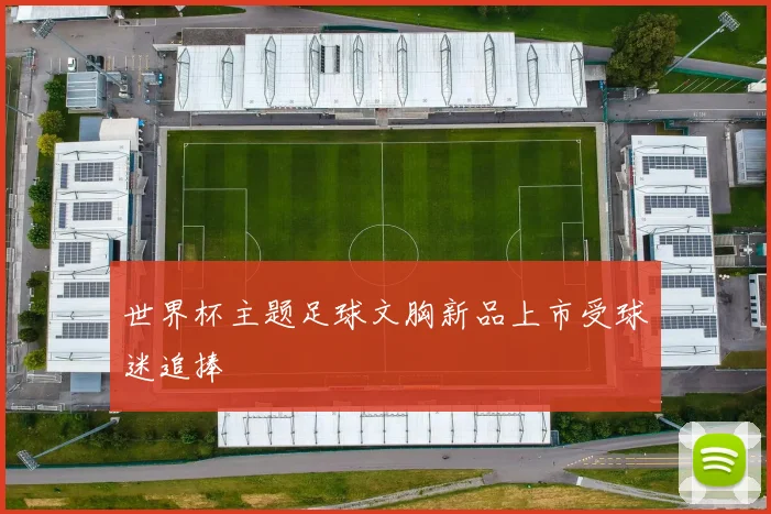 世界杯主题足球文胸新品上市受球迷追捧