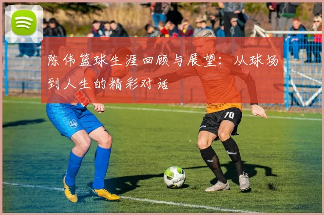 陈伟篮球生涯回顾与展望：从球场到人生的精彩对话