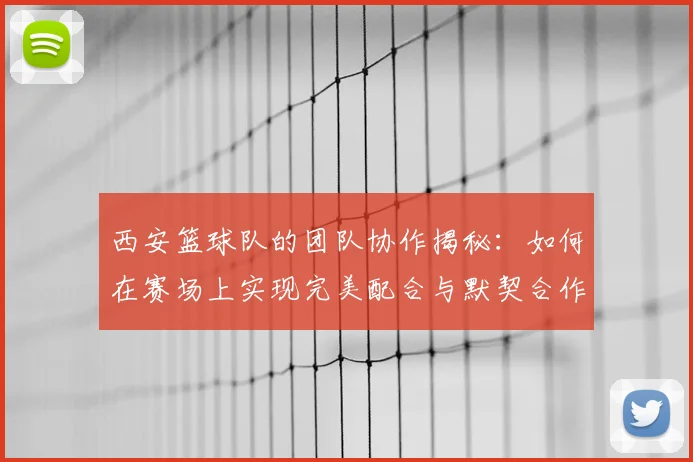 西安篮球队的团队协作揭秘：如何在赛场上实现完美配合与默契合作