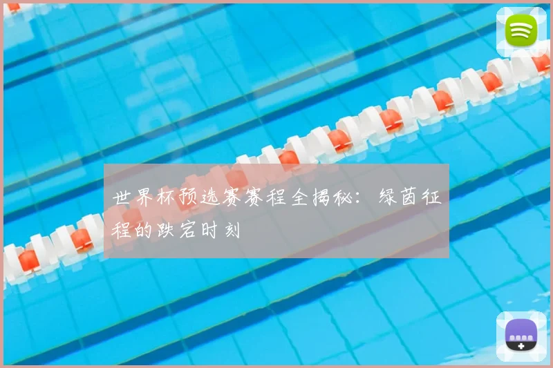 世界杯预选赛赛程全揭秘：绿茵征程的跌宕时刻