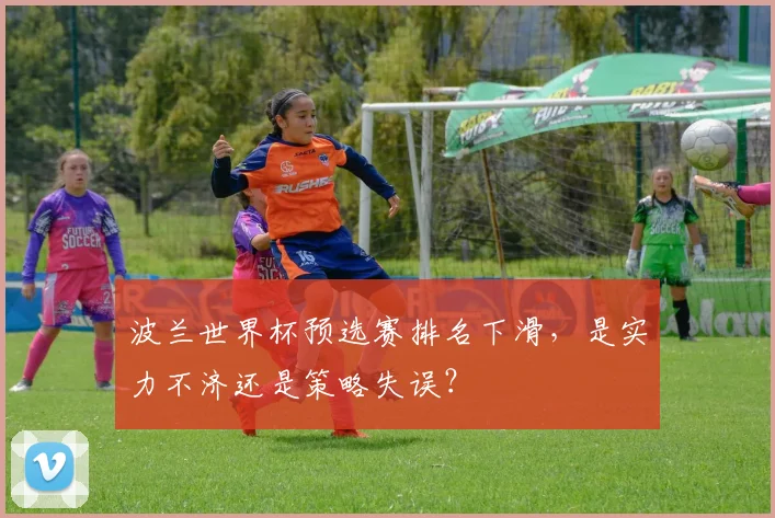 波兰世界杯预选赛排名下滑,是实力不济还是策略失误?