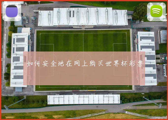 如何安全地在网上购买世界杯彩票