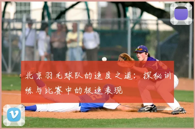 北京羽毛球队的速度之道：探秘训练与比赛中的极速表现