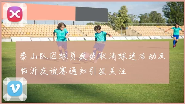 泰山队因球员疲劳取消球迷活动及临沂友谊赛通知引发关注