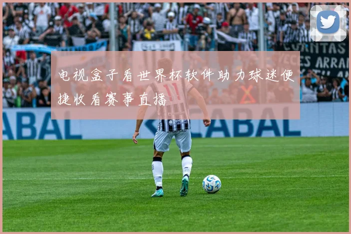 电视盒子看世界杯软件助力球迷便捷收看赛事直播