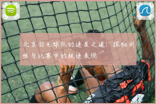 北京羽毛球队的速度之道：探秘训练与比赛中的极速表现