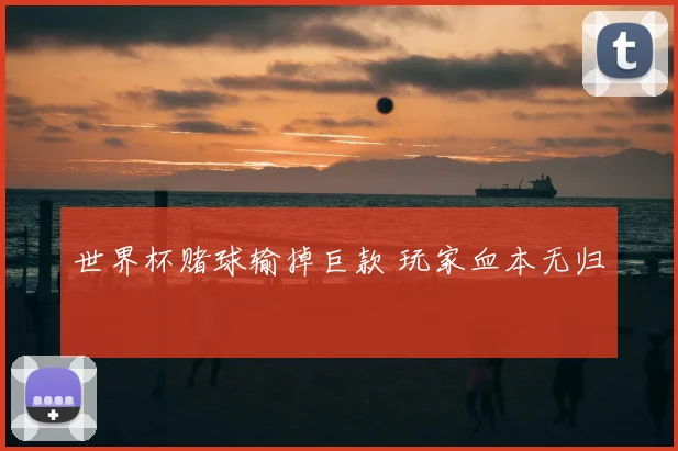世界杯赌球输掉巨款 玩家血本无归