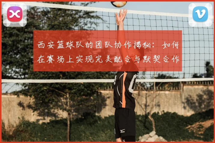 西安篮球队的团队协作揭秘：如何在赛场上实现完美配合与默契合作