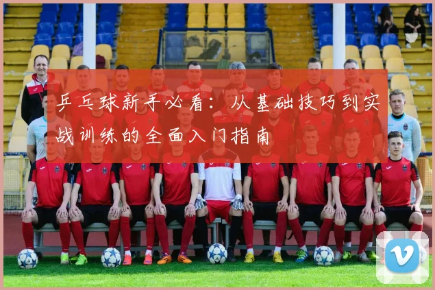 乒乓球新手必看：从基础技巧到实战训练的全面入门指南