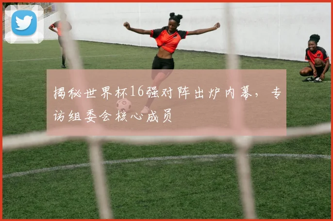 揭秘世界杯16强对阵出炉内幕，专访组委会核心成员