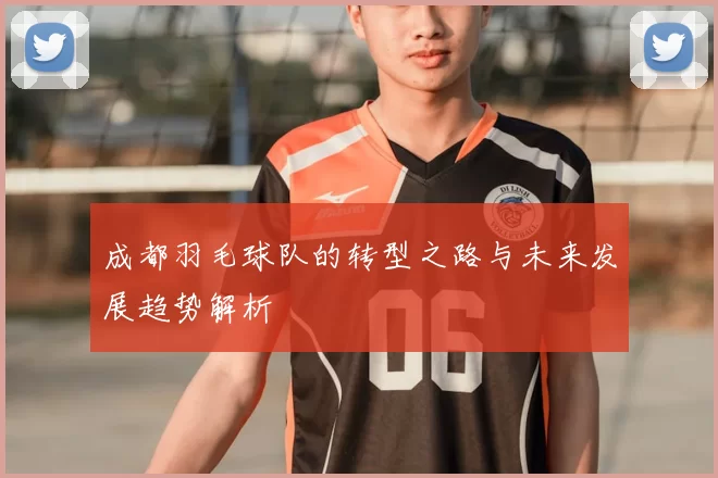 成都羽毛球队的转型之路与未来发展趋势解析