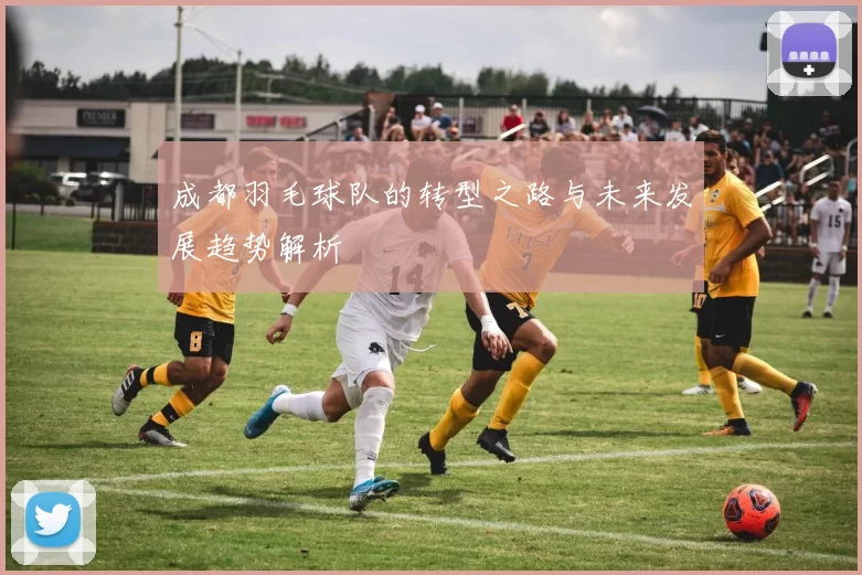 成都羽毛球队的转型之路与未来发展趋势解析