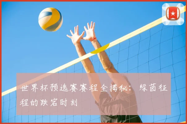 世界杯预选赛赛程全揭秘：绿茵征程的跌宕时刻